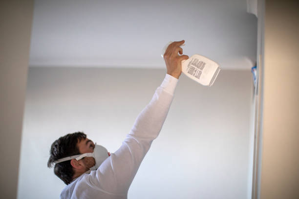 Best Mold Removal and Inspection  in Hawaiian Gardens, CA