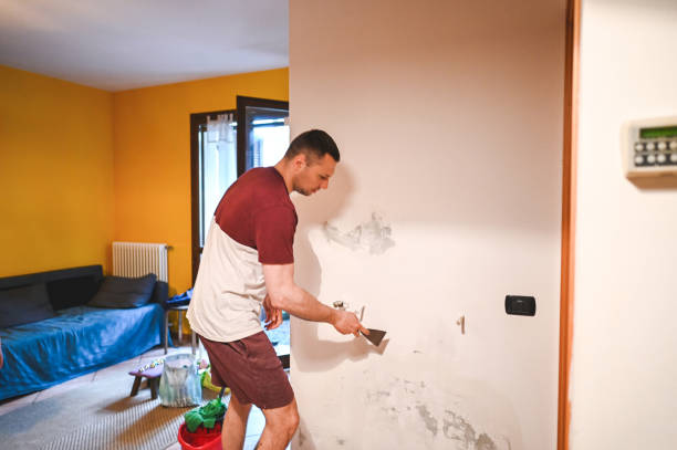 Hawaiian Gardens, CA Mold Removal Company